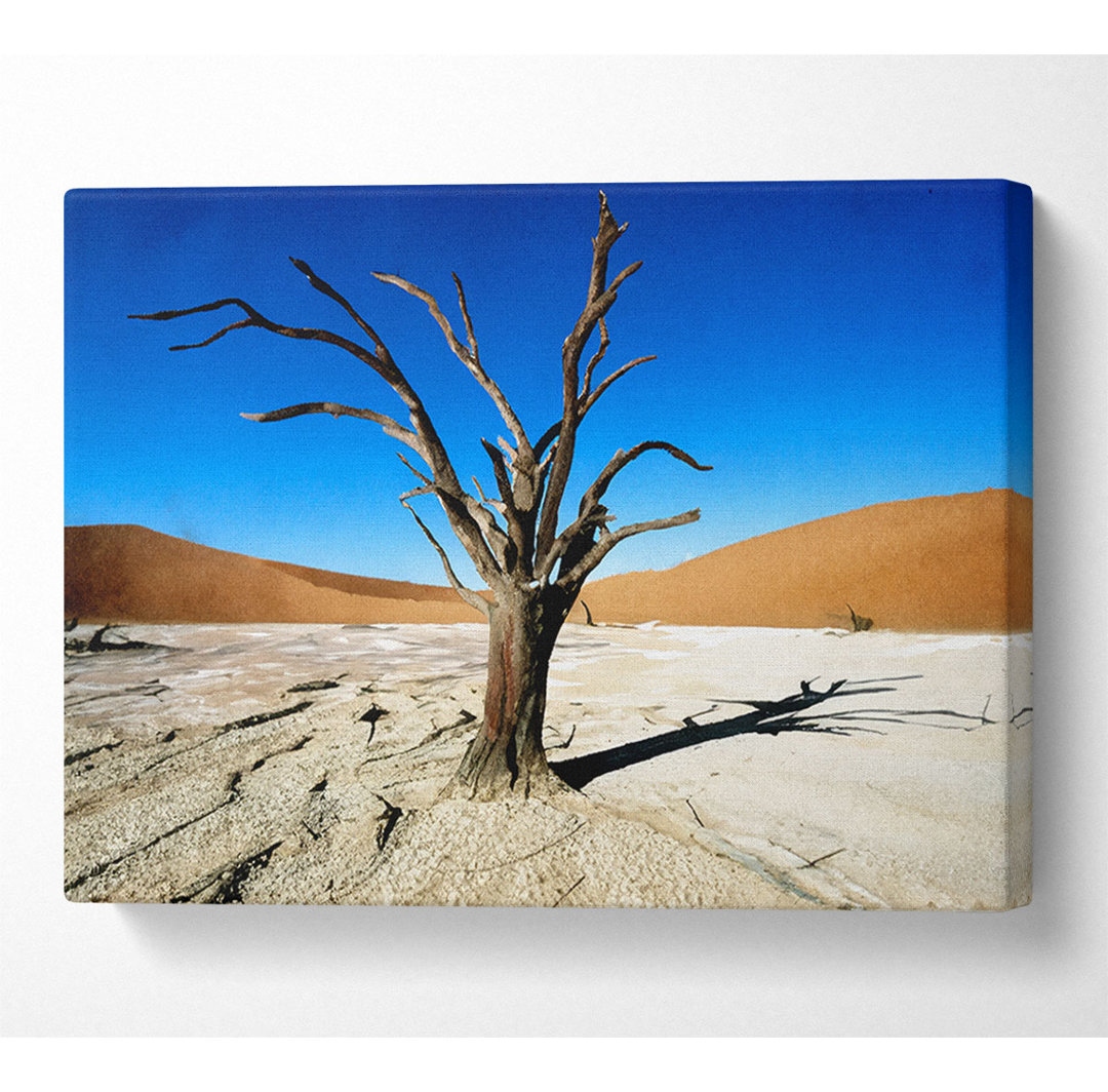 Desert Tree Branches - Kunstdrucke auf Leinwand