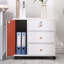 Ladessa 60 cm W 3 -Drawer Filing Cabinet-1784368