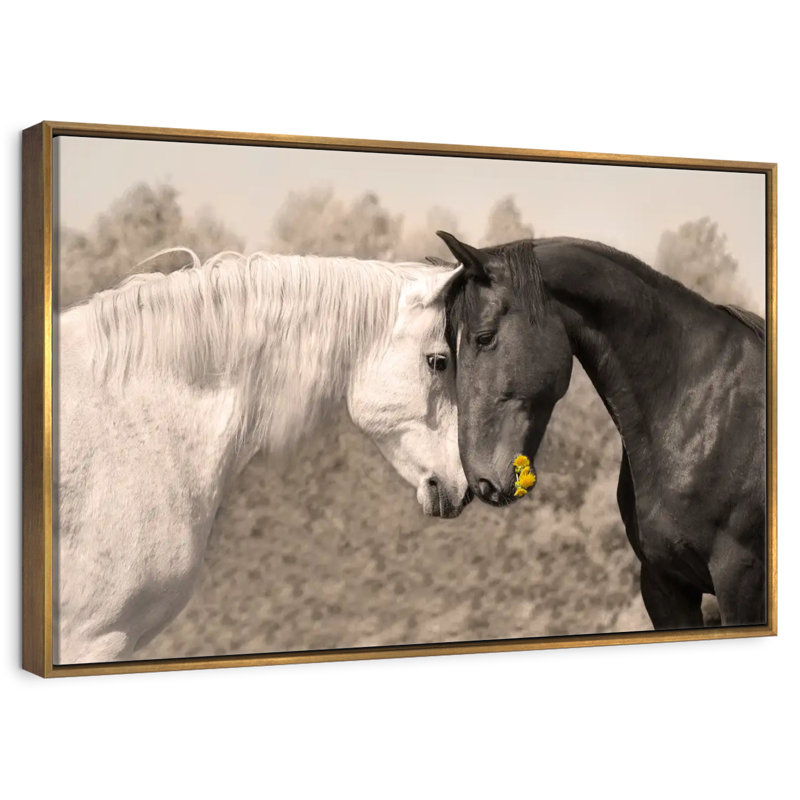 Doux chevaux noirs et blancs, Cadre flottant doré, 40 po x 27 po