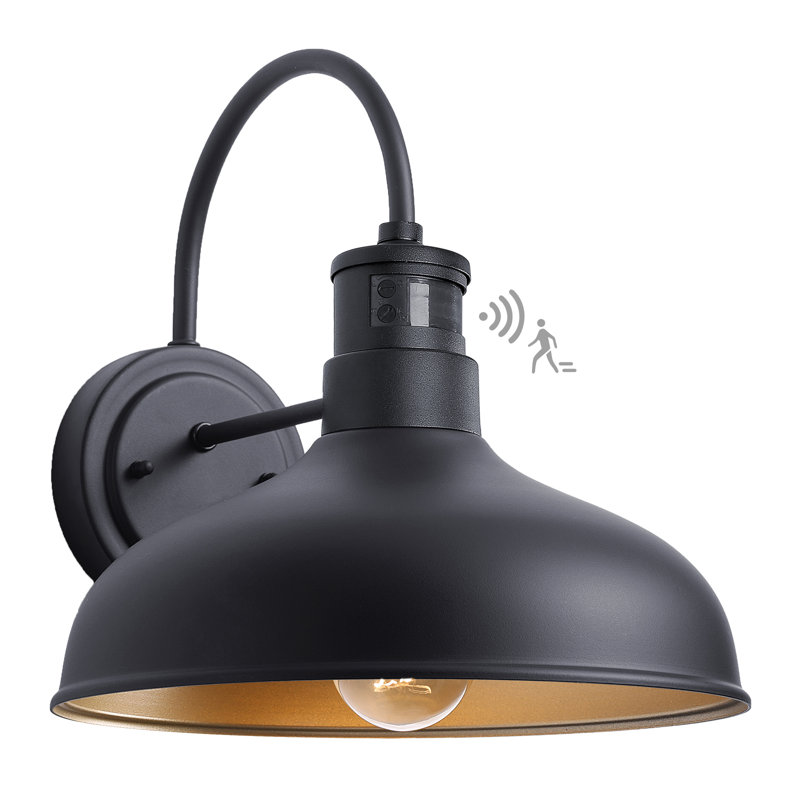 Adachi Wall Light, 12.6" H x 12" W x 13.8" D