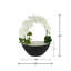 Orchidées et arrangement floral Sedum dans un vase