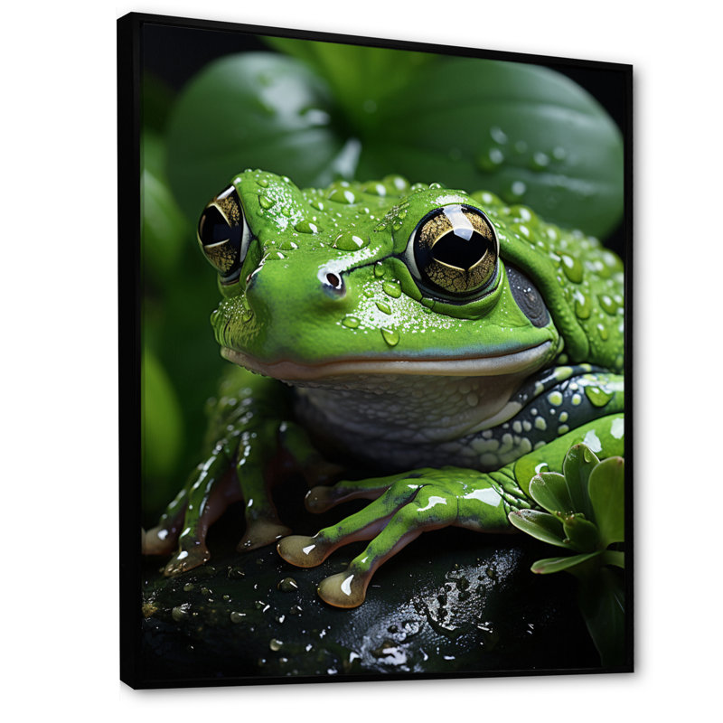 Green Frog Portrait, reproduction d'art sur toile, H 20 po x l 12 po x P 1 po, Cadre noir
