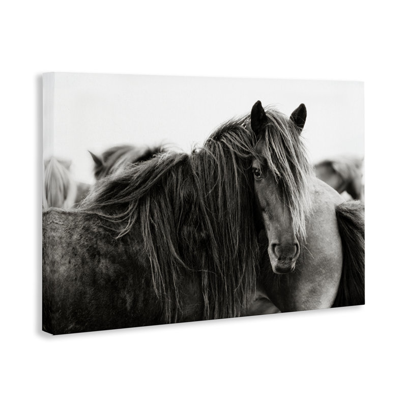 «Gazing Horse parmi le troupeau», art mural par PHBurchett, H 30 po x l 45 po