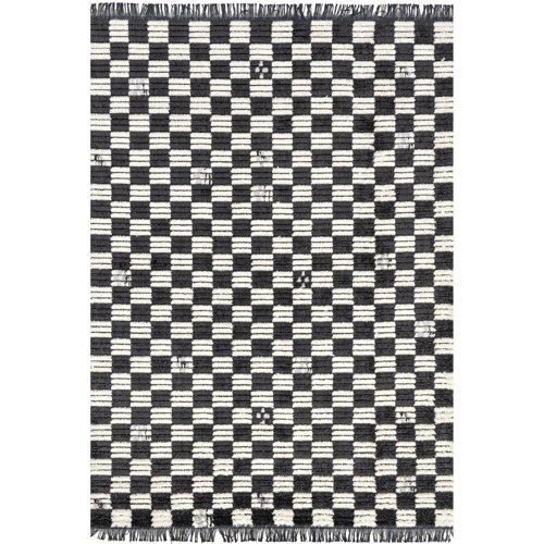 Latitude Run® Pania Contemporary Checkered Fringe Area Rug & Reviews ...