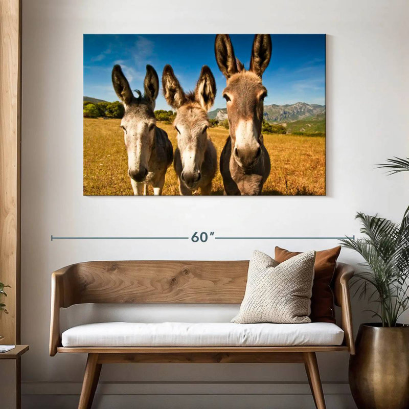 Brampt Donkey Trio, H 32 po x l 48 po