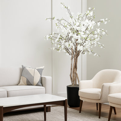 Cherry Blossom Tree in a Fiberstone Pot