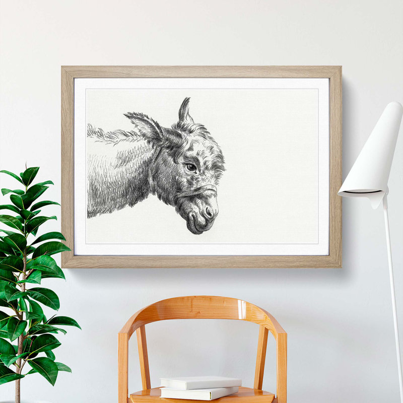 A Head Of A Donkey by Jean Bernard - Single Picture Frame Print, Oak Framed, 33cm H x 45cm W x 2cm D