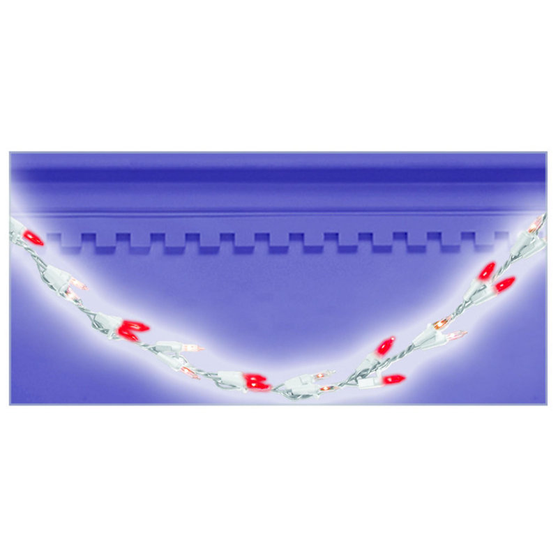 9 ft Red and Clear Incandescent Rope Lights with White Wire