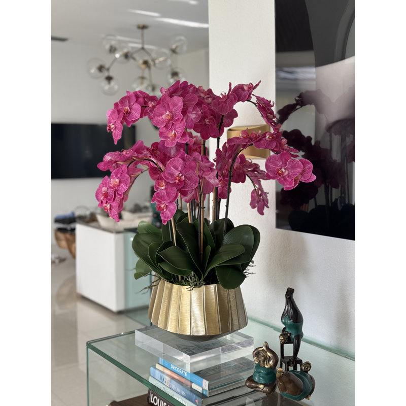 Helena Boat Planter With Phaleanopsis Orchids, Pink