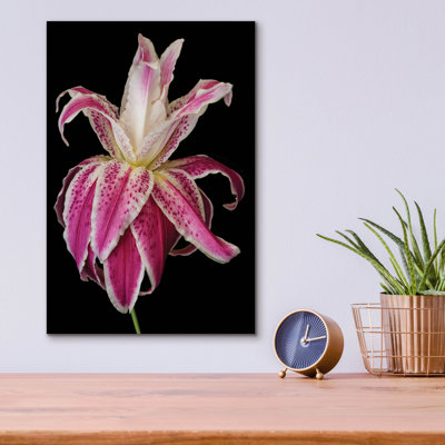 " Lily Queen " by Pamela Plummer