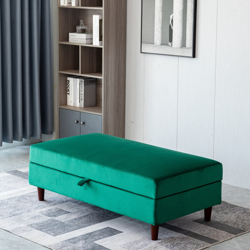 Anyelis Velvet Upholstered Bench with Flip Top