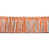 Corail