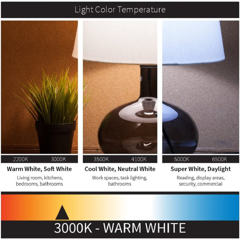 Proxima LED Wall Light, 12.5" H x 6" W x 7.5" D