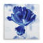 « blue ice tulip », reproduction d’impression sur toile tendue-22499370