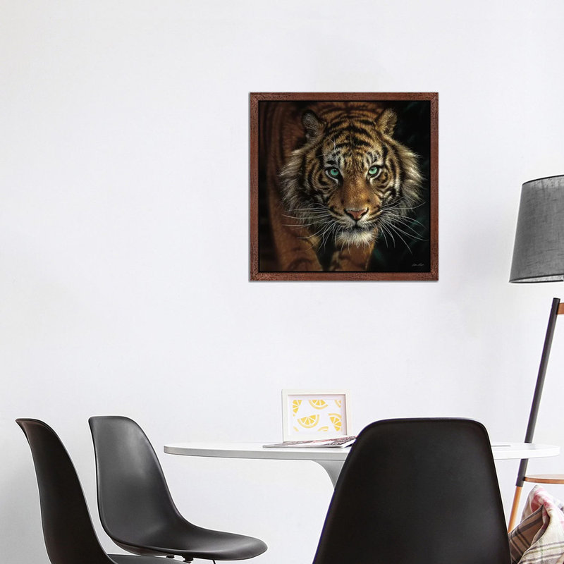 Eye Of The Tiger, Square by Collin Bogle - Painting on Canvas, 45.72 cm H x 45.72 cm W, Brown Framed