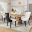 Modern Velvet Dining Chairs Dining Room Chairs-50794433-50794446-229798364