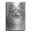 «Tickled» par Barbara Keith-1152028318