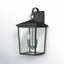 Applique murale d'extérieur haut 18 po 2 lumières Messerly-272310489