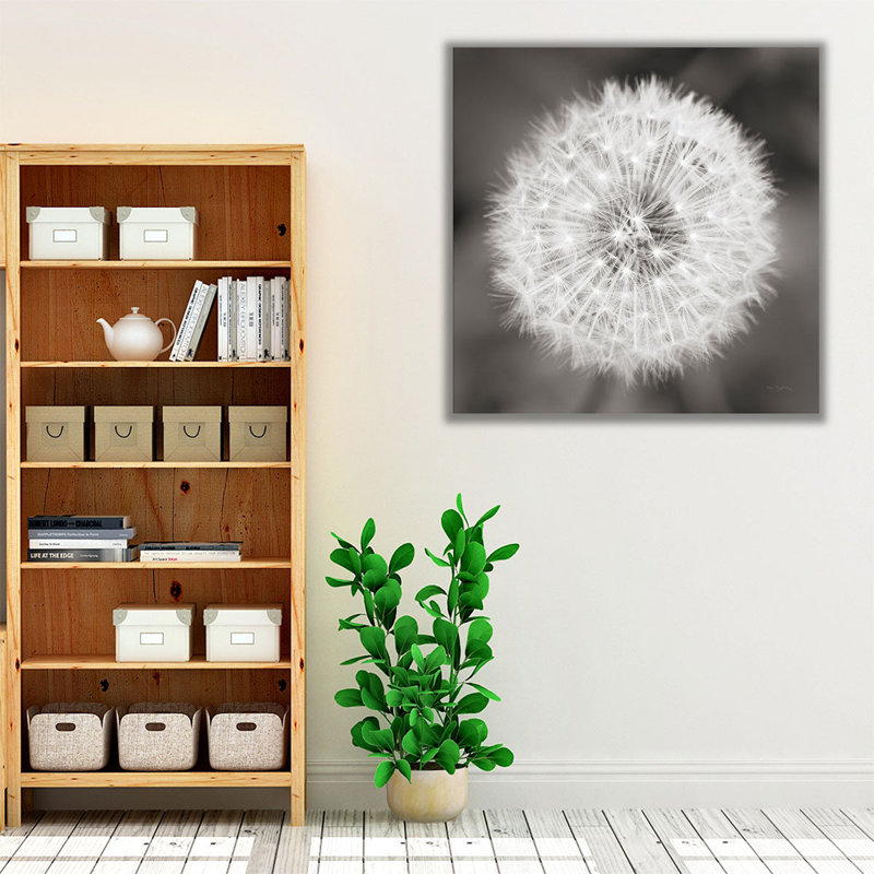 Tête de pissenlit noir et blanc - reproduction d'art sur toile, H 12 po x l 12 po