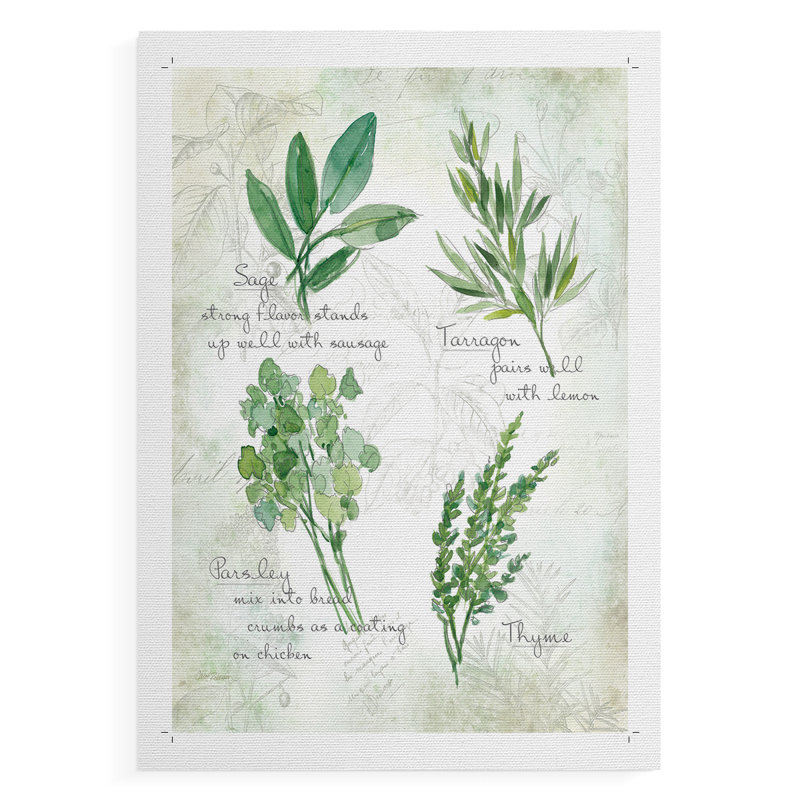 Fresh Herbs II - Impression sur toile seulement - NON-CADRE, H 18 po x l 12 po