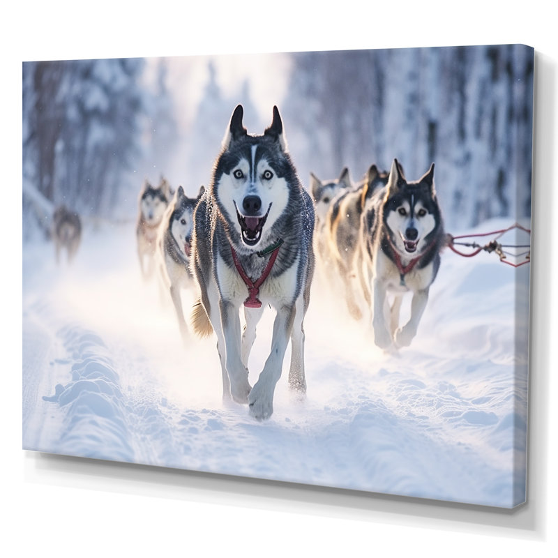«Alaska Dog Sledding II», reproduction sur toile, H 16 po x l 32 po x P 1 po, Toile tendue