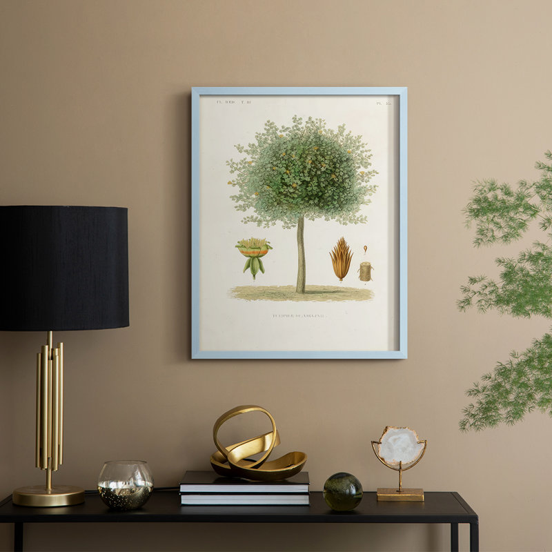 Arbre antique avec fruit X, reproduction encadrée - bois massif, Bleu, H 30 po x l 24 po