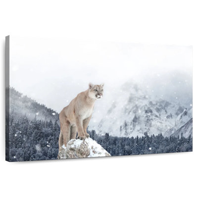 Crowle Snowy Cougar
