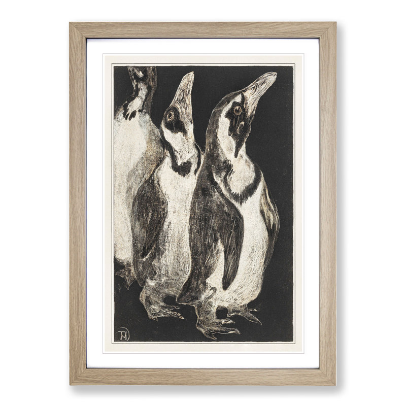Three Penguins by Theo Van Hoytema - Picture Frame Drawing, 65cm H x 48cm W x 2cm D, Oak