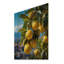 Italie Sorrento Serenade I sur impression sur bois-1379004490