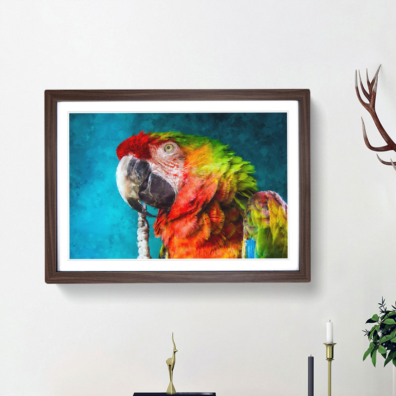 Rainbow Macaw Parrot - Framed Print, 33cm H x 45cm W x 2cm D, Walnut Framed