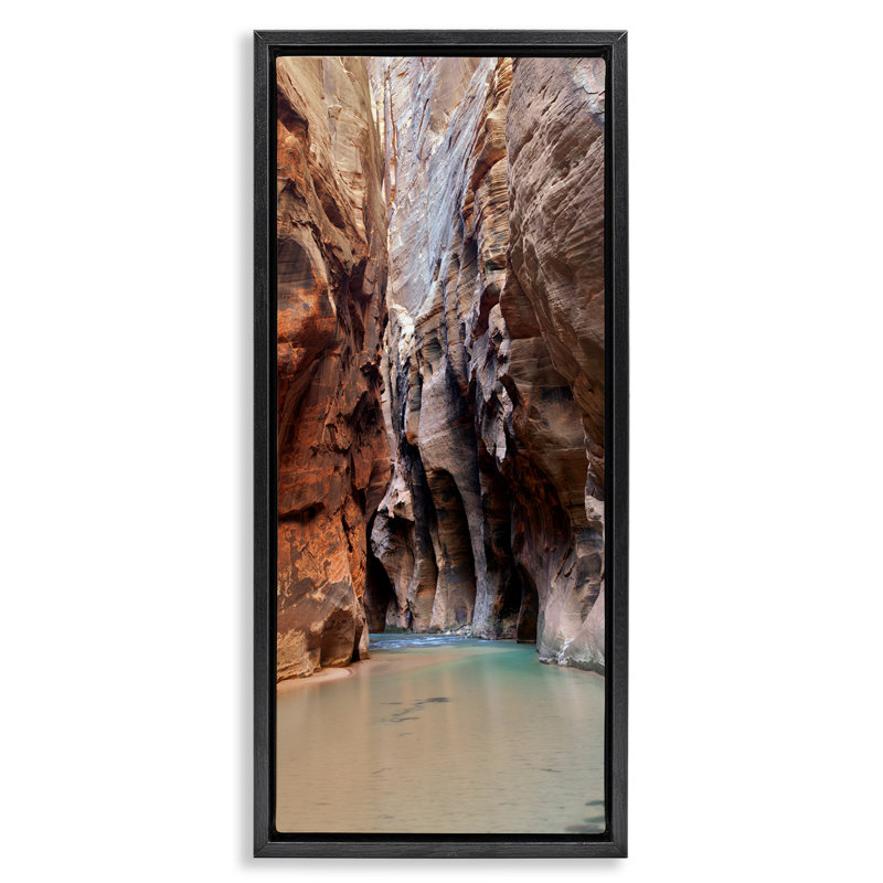Falaises du parc national de Zion, Cadre flottant noir de jais, H 25 po x l 11 po