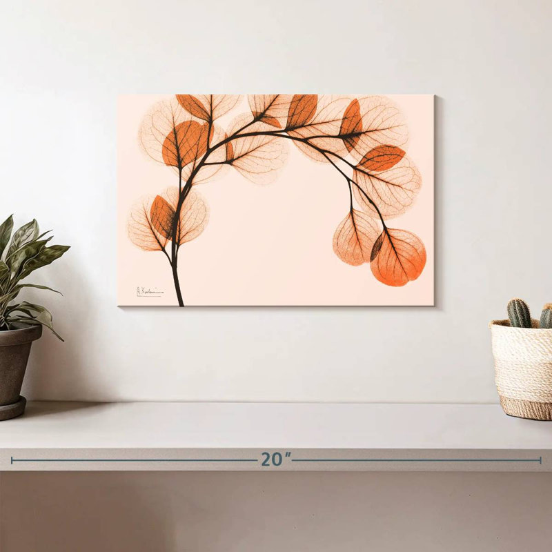 Harnek orange eucalyptus II, H 8 po x l 12 po
