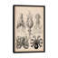 Cephalopod (gamochonia), impression sur toile-73792603-73792604-73792605