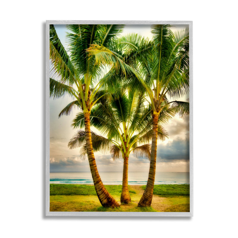 «Three Palm Trees On Beach» encadré sur bois par Dennis Frates, peinture, H 20 po x l 16 po x P 1,5 po