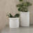 Ceramic Table Vase