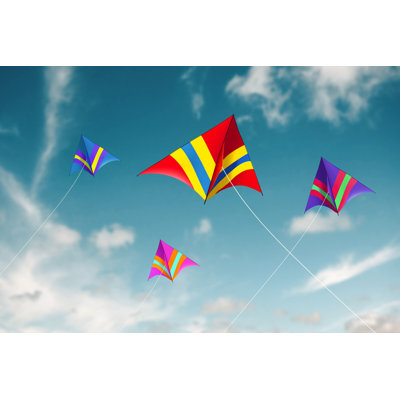 Kites Flying par Aygulsarvarova - Photographie sur toile tendue