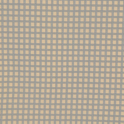 Allure Fabric