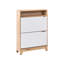 10 Pair Shoe Storage Cabinet