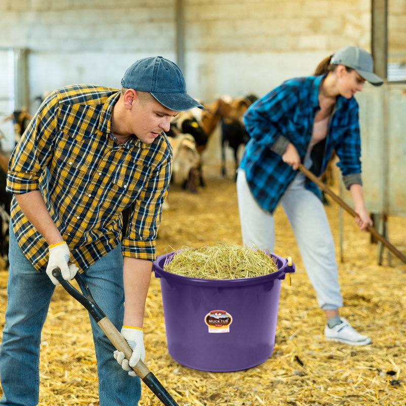 Little Giant Plastic Bucket, Purple