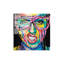 Boze Print on Glass