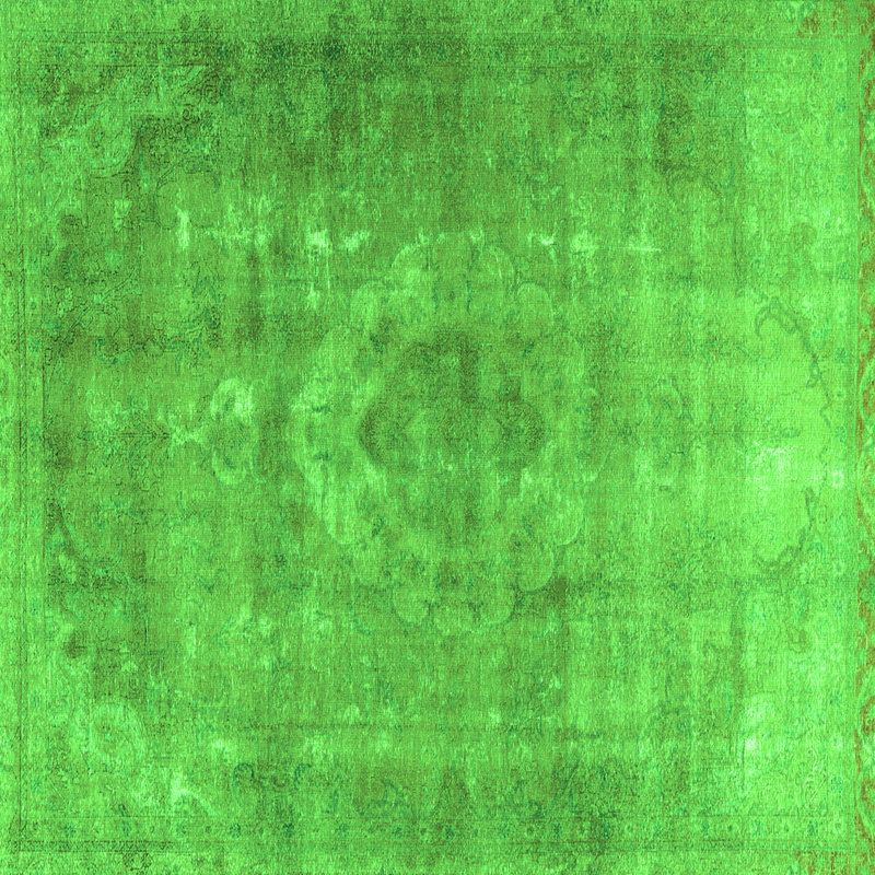 Entonio Performance Oriental Indoor Rug, Square 5'