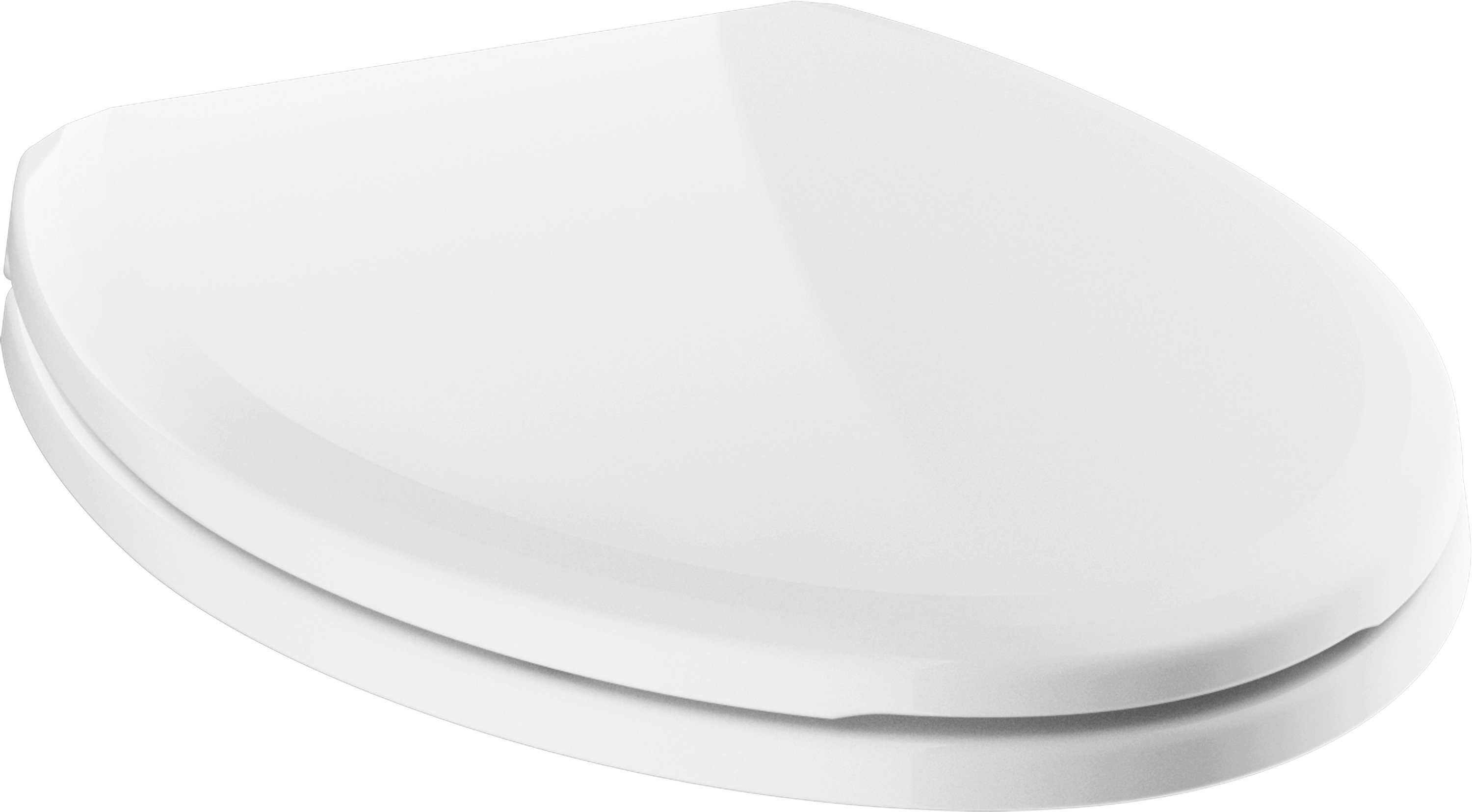 810902WH Delta Sanborne Elongated Toilet Seat & Reviews Wayfair