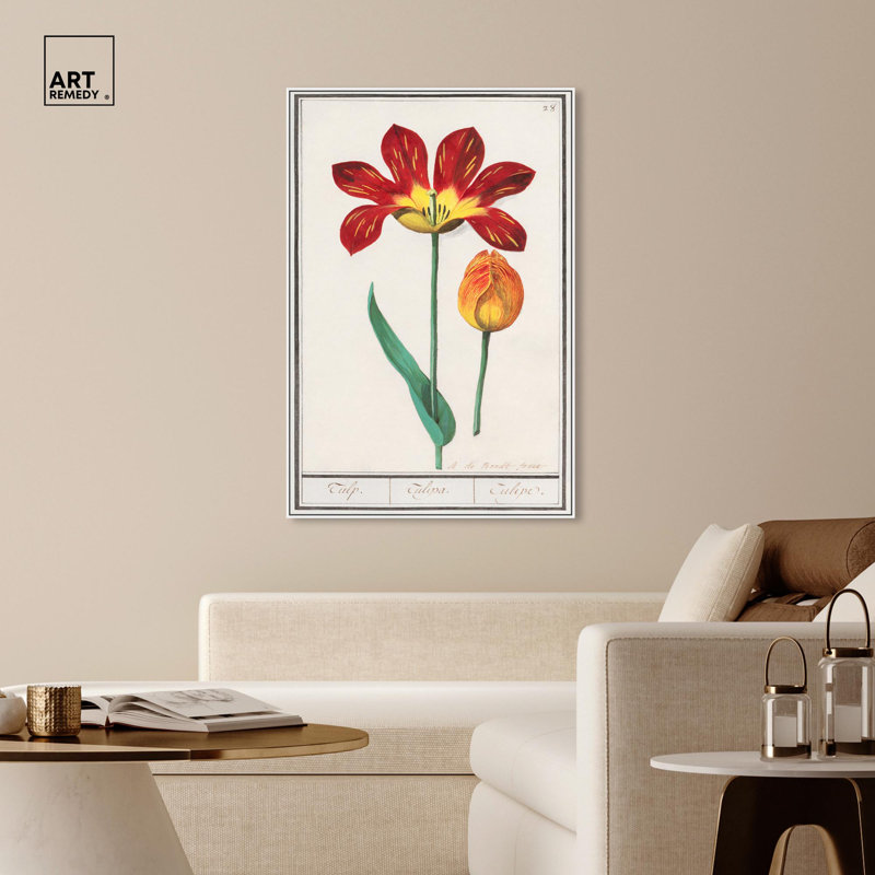 Art Remedy, reproduction d'art sur toile, tulipe rouge, H 55 po x l 37 po, Cadre flottant blanc