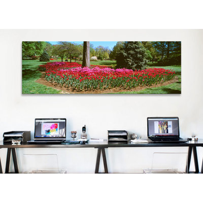 Panoramic Azalea and Tulip Flowers in a Park, Sherwood Gardens, Baltimore, Maryland Photographic Print on Canvas