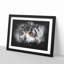 Orange Eyed Owl - Picture Frame Graphic Art Print-56861833-56861832