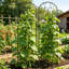 Paquet de 6 treillis de jardin 85 po x 19 po en métal pour l'extérieur