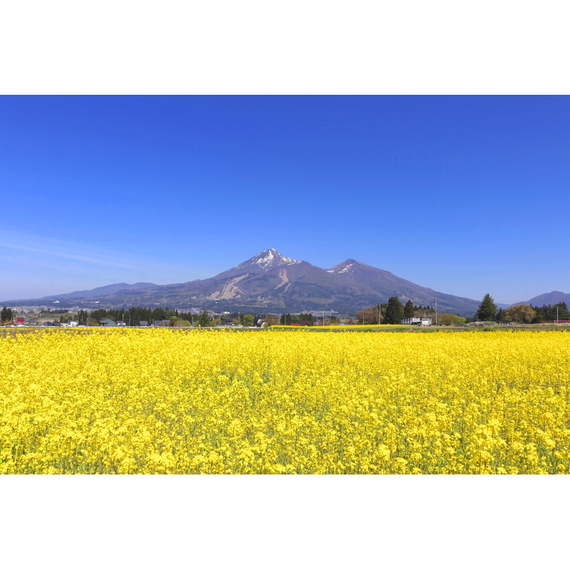 Ashbaugh Mt.Bandai - Wrapped Canvas Print, 30cm H x 46cm W x 3.8cm D