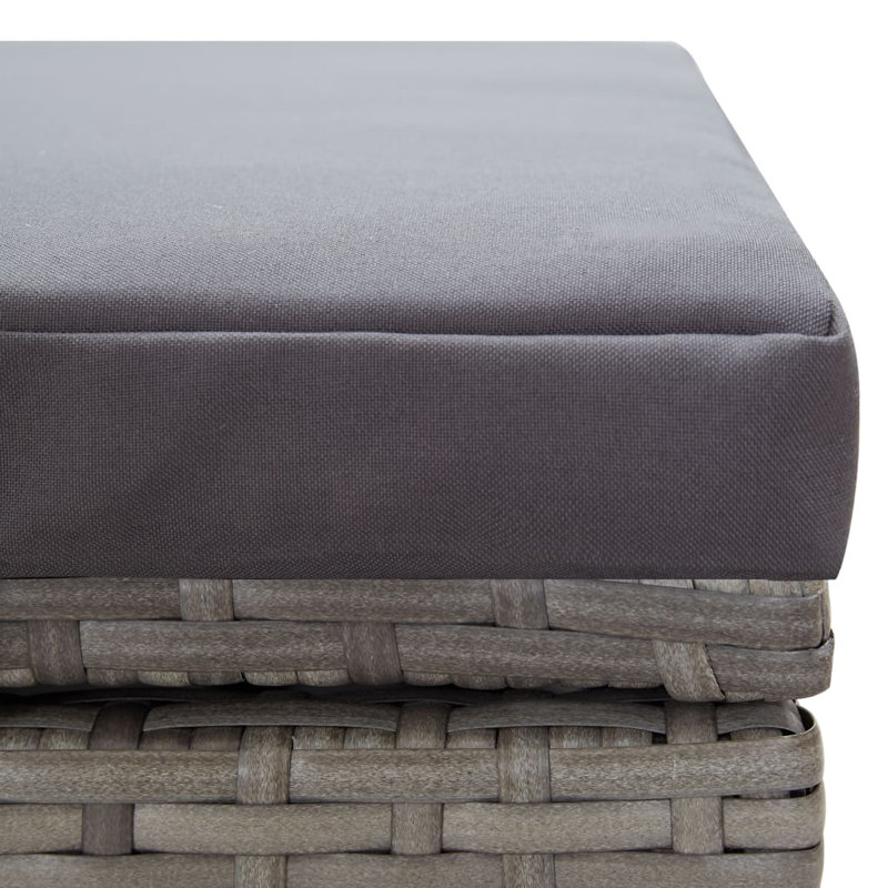 Gieseltraud 66" Long Single Chaise with Cushions, Gray, Dark Gray