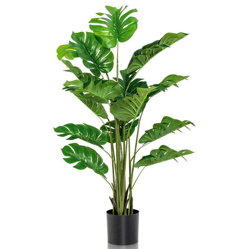 60 plantes