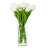 Tulip Arrangement in Vase-1660080176